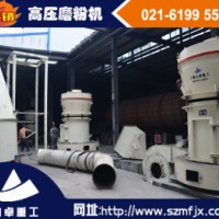 高压磨粉机使用说明 雷蒙磨粉机报价-上海山卓
