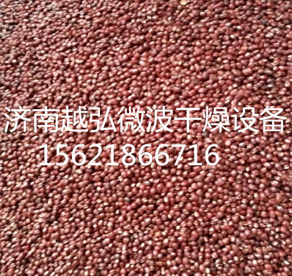 622467597501580583_副本