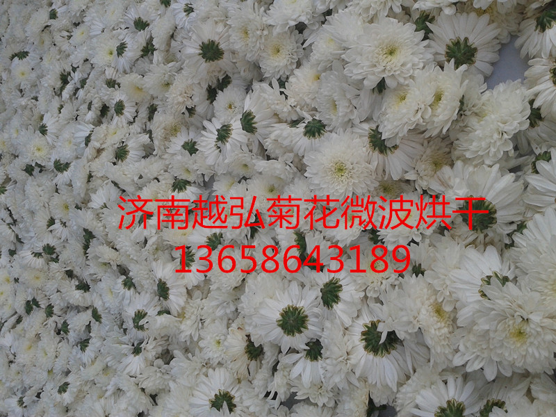 20150602_074023_副本