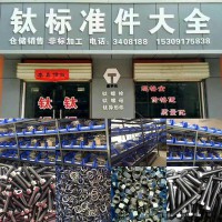 钛螺丝加工厂 非标螺丝加工  圆型螺丝 半沉头螺钉 一字螺钉 六角螺钉 平头螺钉 免费取样