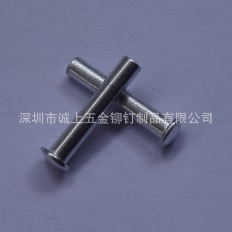 DSC00253_副本
