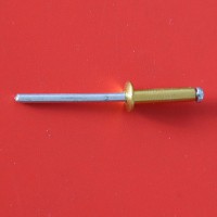 【长龙牌】CL抽芯铆钉   铆钉   抽芯铆钉  铆钉厂家拉铆钉龙牌制造 优质厂家