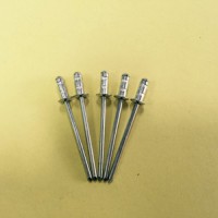 双鼓铆钉 灯笼铆钉 抽芯铆钉  不锈钢铆钉