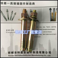 特盾电梯壁虎电梯膨胀，电梯螺丝电梯丝，国标膨胀螺丝，各种壁虎膨胀，永年厂家直营